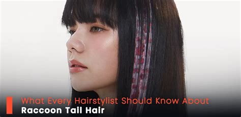 What Every Hairstylist Should Know About Raccoon。